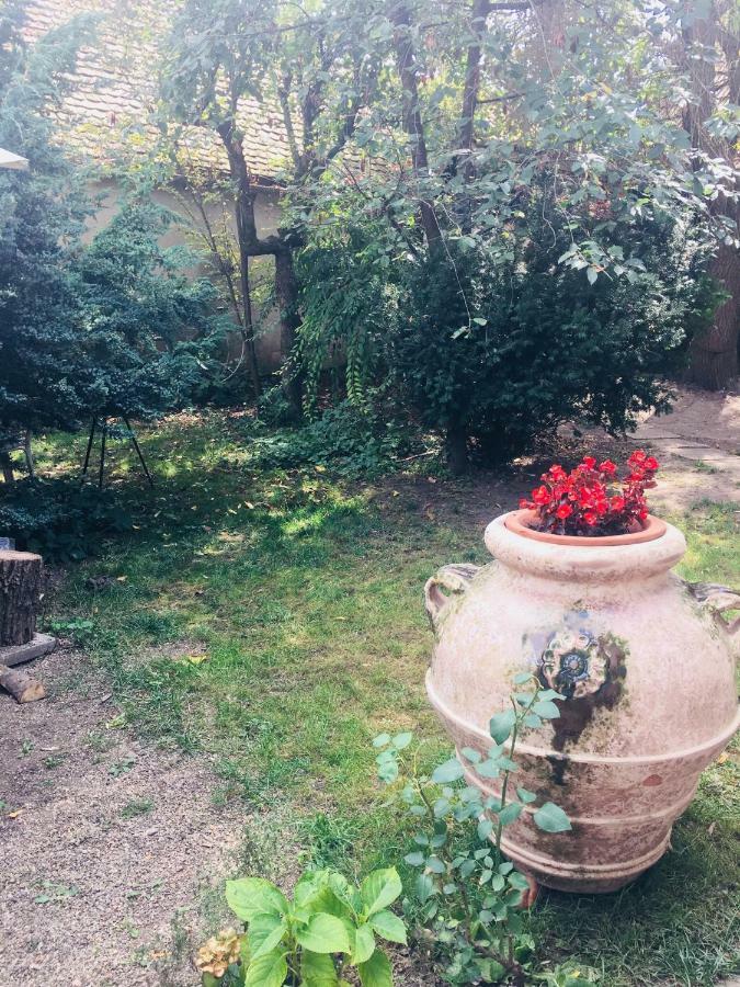 Casa Delia Daire Laslea Dış mekan fotoğraf