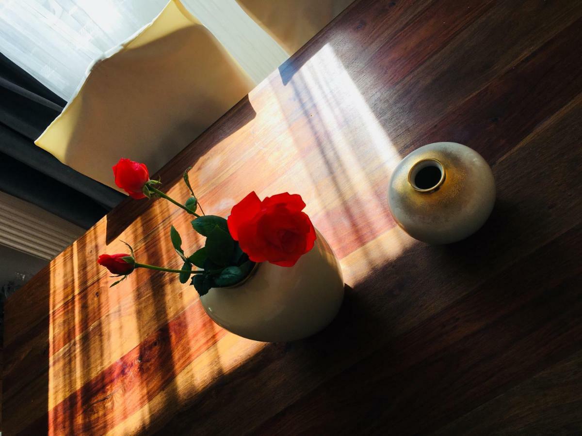 Casa Delia Daire Laslea Dış mekan fotoğraf