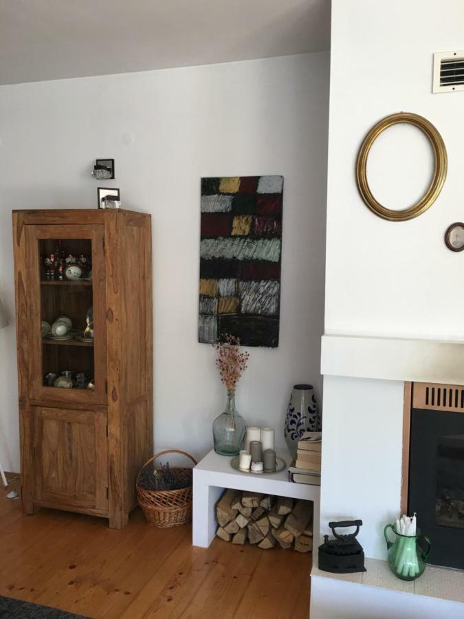 Casa Delia Daire Laslea Dış mekan fotoğraf